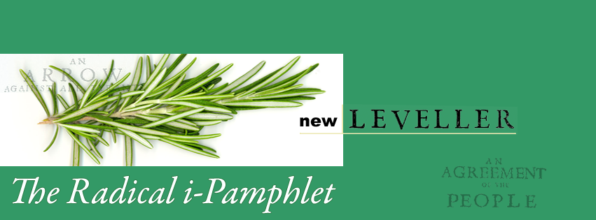 The New Leveller Blog